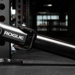 Rogue Fitness Rogue Monster Landmine 2.0