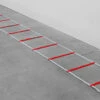 Powermax Web Agility Ladder