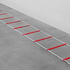 Powermax Web Agility Ladder