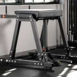 Rogue Fitness Rogue Z Hyper